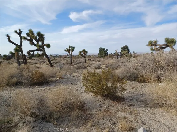 0 Goss Buena Vis Lot 532, Pinon Hills, CA 92372