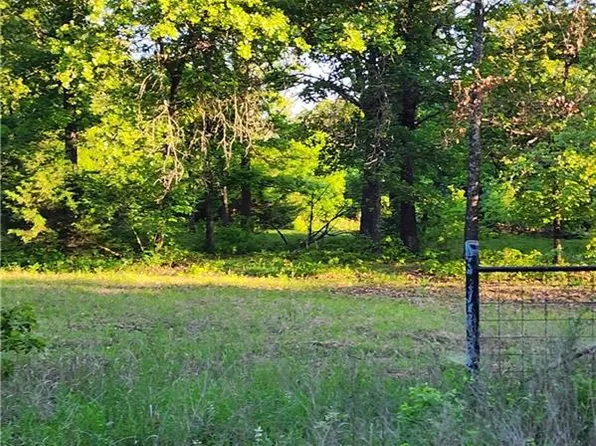 10920 SE Highway Tt, Osceola, MO 64776