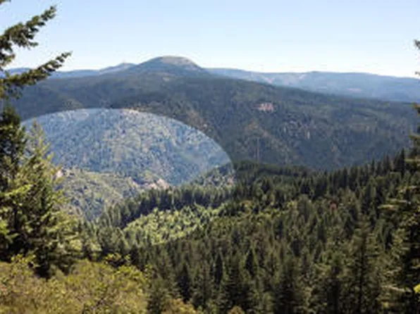 11 Forest Service Rd, Big Bend, CA 96011