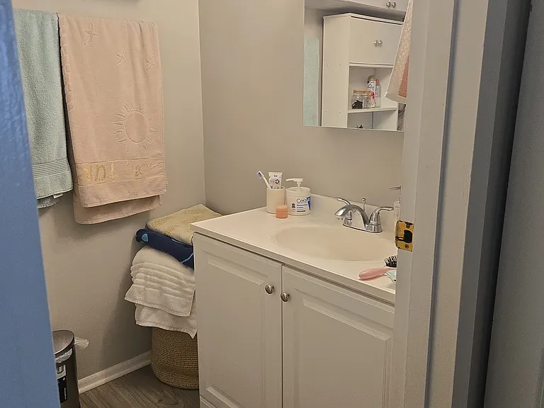 6151 Knoll Wood Rd #305 — Photo 8