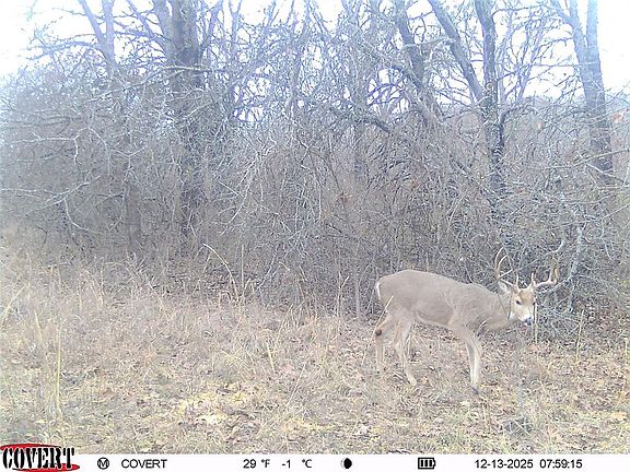 3rd image of 0 N 3875th Rd