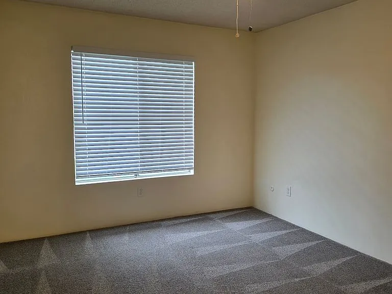 3824 Christmas Tree Ln — Photo 12