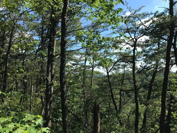 0 S Fork Rd #2000, Stanton, KY 40380