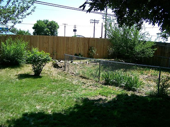 Back Yard II