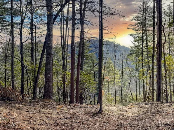 Lot 9 Saratay Falls Drive, Cashiers, NC 28717