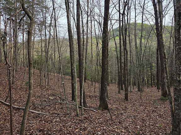 3rd image of LOT 53 Calvender Rd