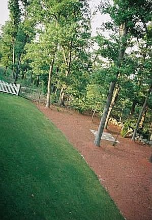 Backyard1