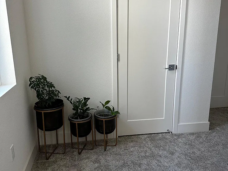 Entry way to the bedrooms