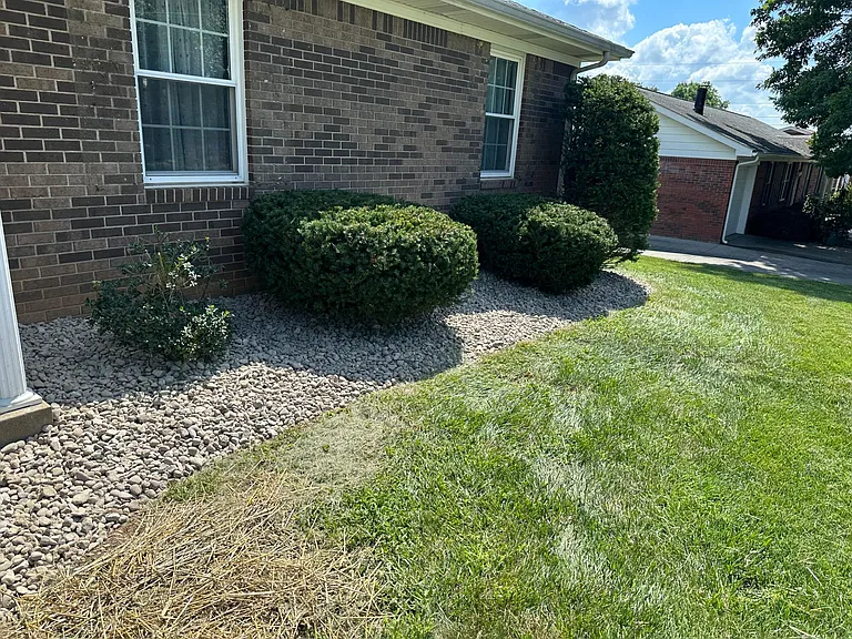 9016 Newberry Rd — Photo 3