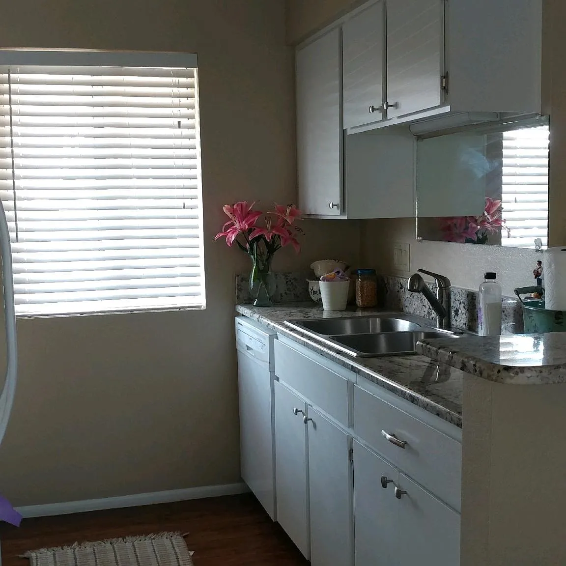 3175 Shoshone Dr — Photo 4