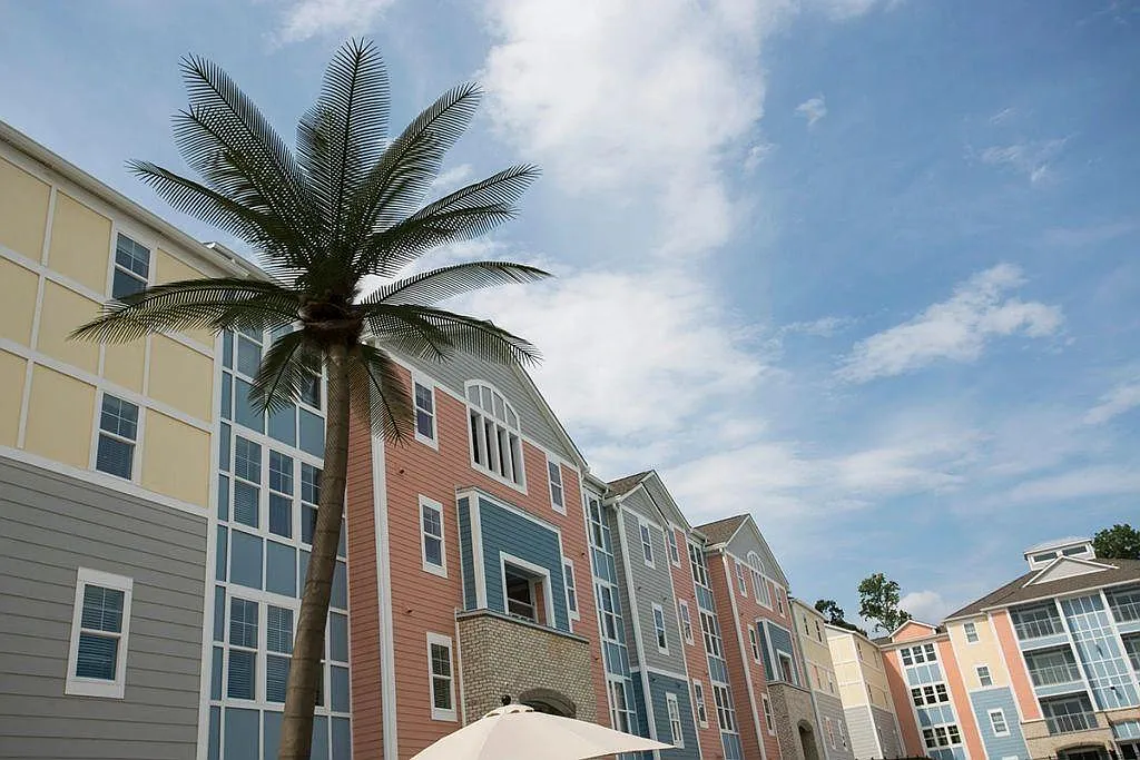 The Oasis — Photo 4