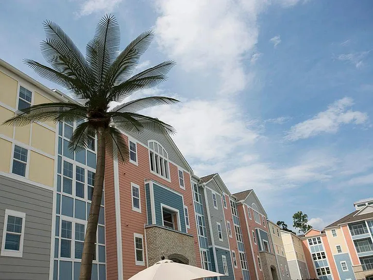 The Oasis — Photo 4