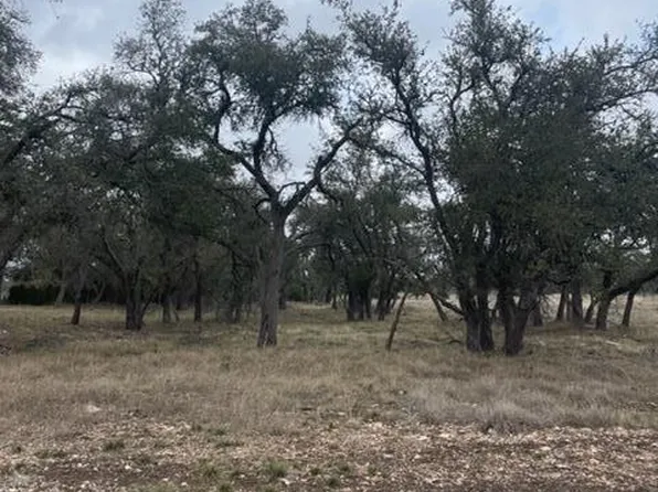 LOT 2 Scott Branch Rd, Harper, TX 78631