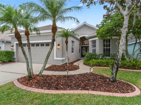 9410 Greenpointe Dr, Tampa, FL 33626
