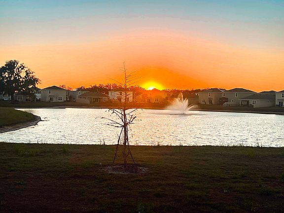 View from patio