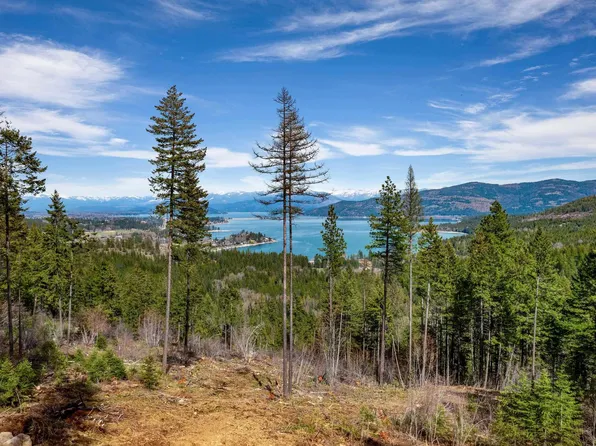 Lot 1 Delaney Drive, Sagle, ID 83860