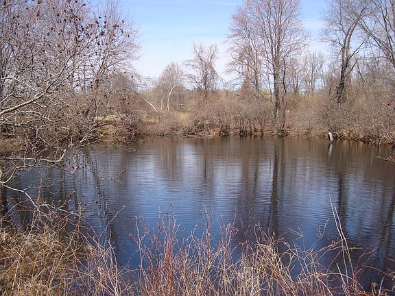 pond view