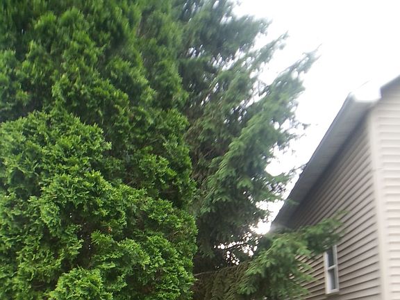 2nd image of 901 N Wasson St