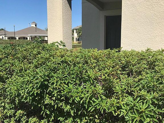 3rd image of 3522 D Avinci Way APT 1084
