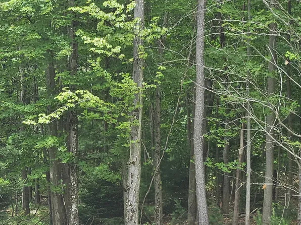 Ash Dr #406, Pocono Summit, PA 18346