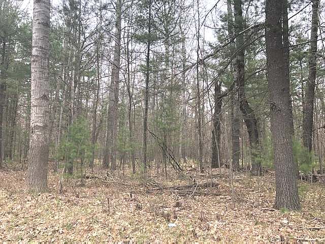 2nd image of 8430 W Eight Point Lake Rd