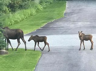 16749 Woods Pointe Cir, Anchorage, AK 99516