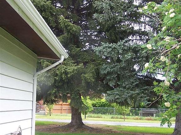 4th image of 601 W Cameron Ave