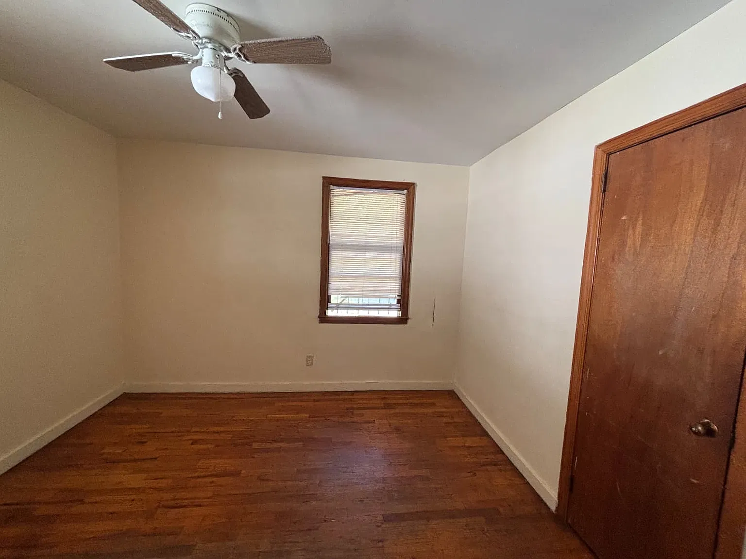 3517 Napier Avenue - 1 — Photo 3