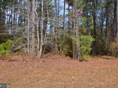 341 N Glebe Rd, Montross, VA, 22520