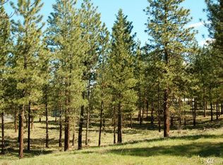 11 Chokecherry Rd, Winthrop, WA 98862