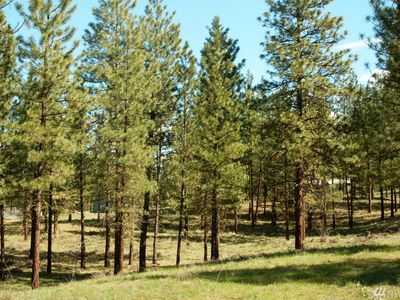 11 Chokecherry Rd, Winthrop, WA, 98862