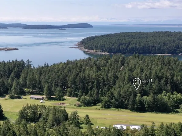 31 Stuart Island Airway Park, Stuart Island, WA 98250