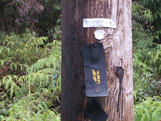 4th image of Lehua St Lot 6960