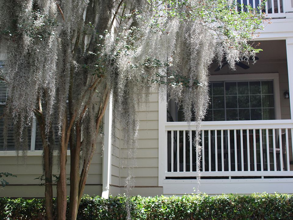 1st image of 1600 Long Grove Dr Unit 1413