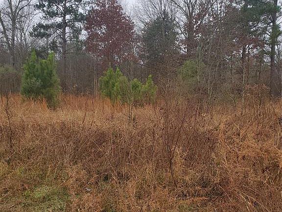 5th image of 1429 Lilac Ln