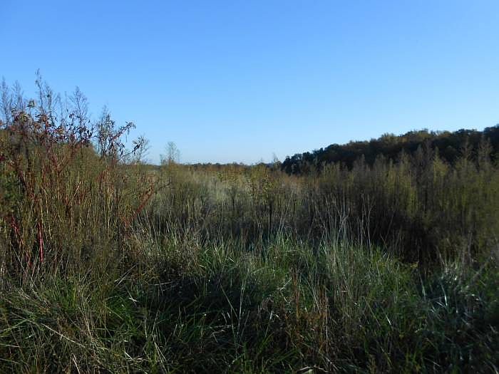 3 Acres