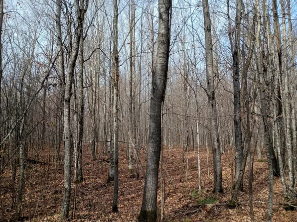 Right Of Way Rd #20AC, Glidden, WI 54527