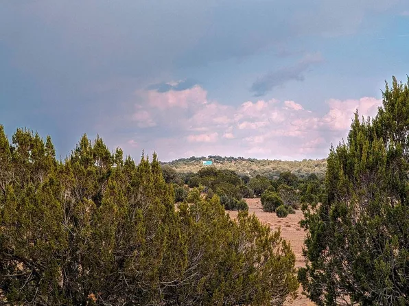00 N Jackpot Ranch Rd, Seligman, AZ 86337
