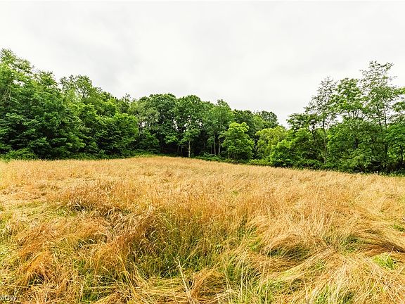 3rd image of Long Rd