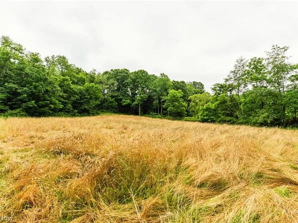 Long Rd, Chandlersville, OH 43727