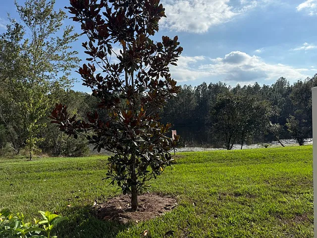 575 Oakleaf Plantation Pkwy #1602 — Photo 9