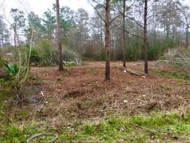1st image of 14255 Gray Rd