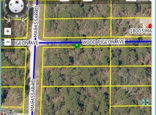 17490 Macassar Rd, Weeki Wachee, FL 34614