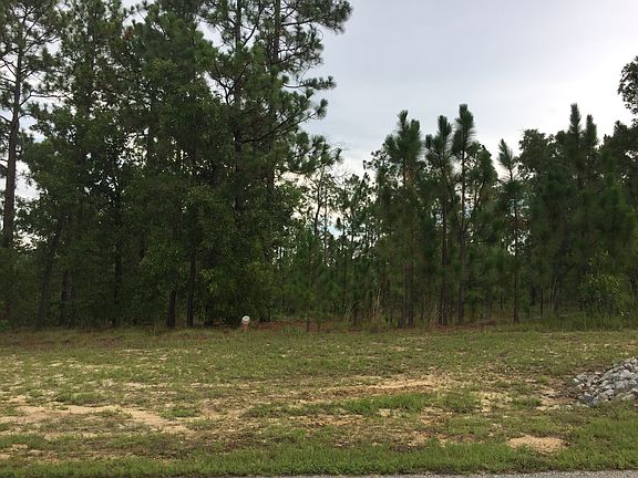 2nd image of 374 Morgan Trail Ct