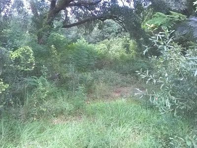 Weinberger Rd, Ponchatoula, LA, 70454