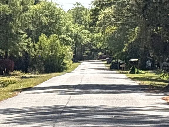 4th image of 130 Whipporwill Ln