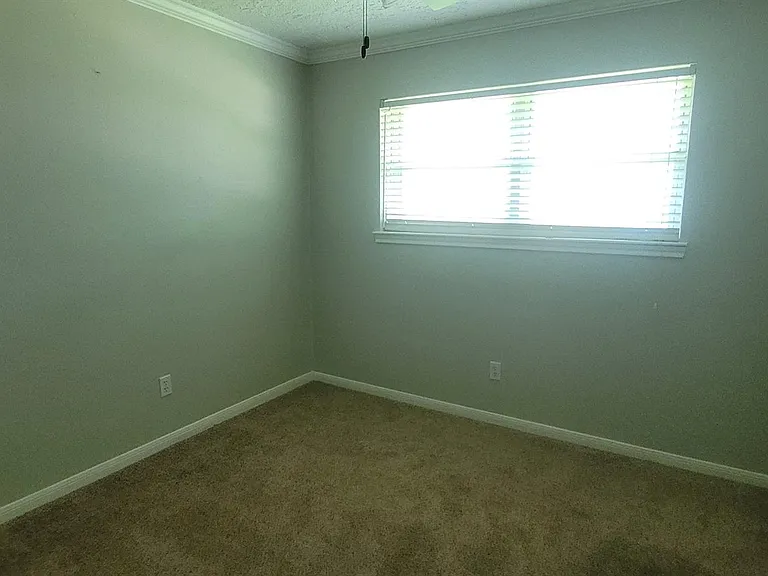 1807 Sleepy Creek Way — Photo 10
