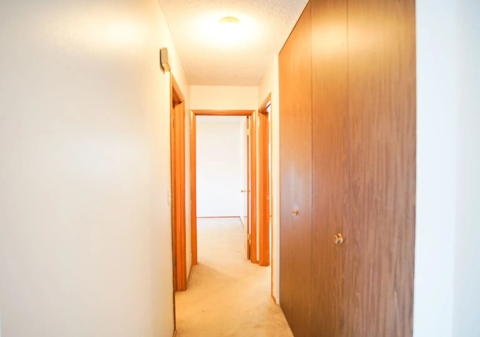Sullivan's Gulch Spacious 2-Bedroom with Dishwasher & Parking! — Photo 1