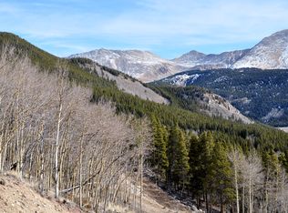 000 Hwy 91, Leadville, CO 80461