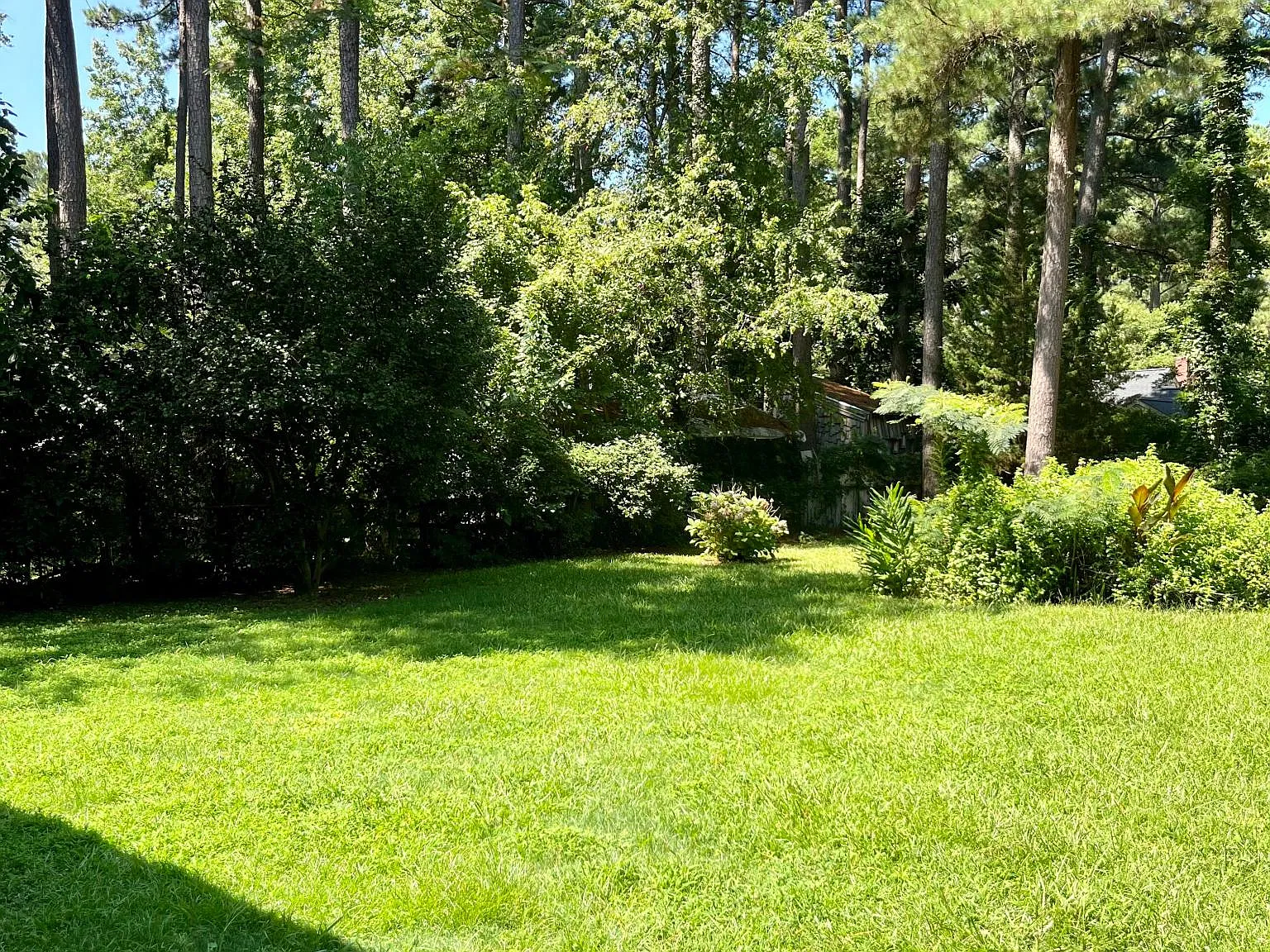 3 bed, 1200 sqft, $1,450 — Photo 4